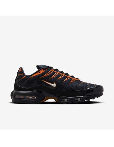 Nike Air Max Plus Men's Sports Shoes Black FN6949400