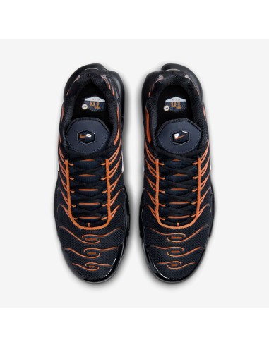 Nike Air Max Plus Men's Sports Shoes Black FN6949400