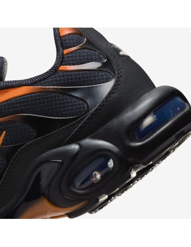 Nike Air Max Plus Men's Sports Shoes Black FN6949400