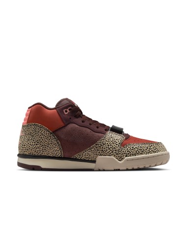 Nike SB Air Trainer 1 ArtsRec Limestone IF0501200 MBS