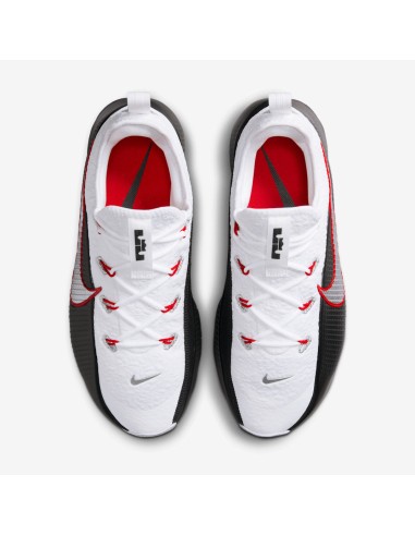 Nike LeBron TR 1 First Game FJ6151101 MBS