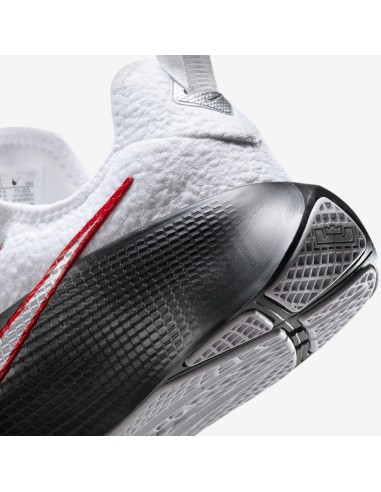 Nike LeBron TR 1 First Game FJ6151101 MBS