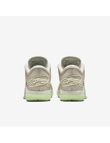 Nike LeBron 22 Dunkman Translucent Outsole FZ1094002 MBS