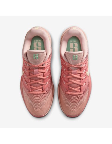 Nike Sabrina 3 Pink Oxford Women's HF2881600 MBS