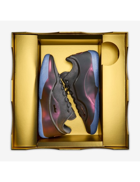 Nike LeBron XXIII Shut Up and Dribble IH1513002 MBS