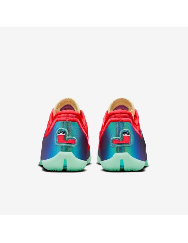Nike LeBron 23 Stocking Stuffer IH1513600 MBS
