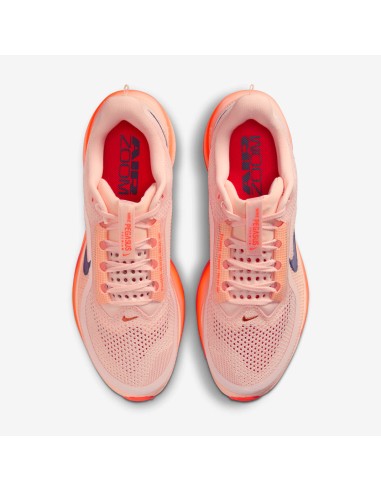 Nike Air Zoom Pegasus Premium Washed Coral II6308600 MBS