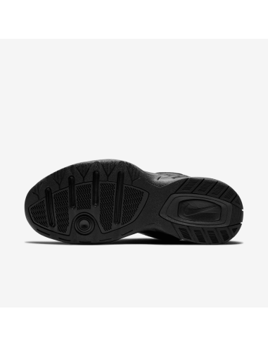 Nike Air Monarch IV M shoes 415445001