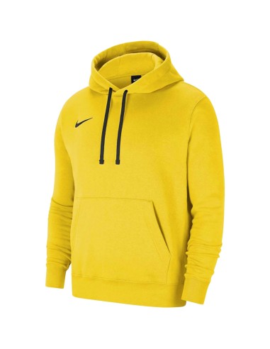 Nike Team Park 20 Hoodie CW6894719