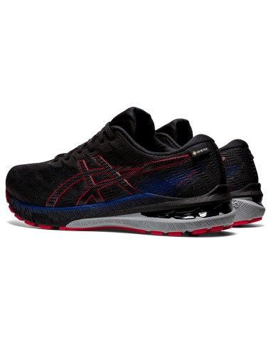 ASICS GT2000 10 GTX 1011B255025