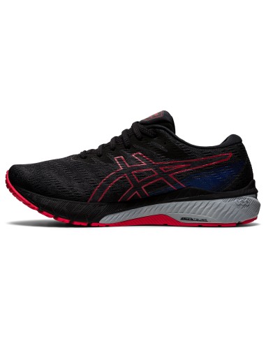 ASICS GT2000 10 GTX 1011B255025