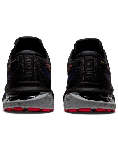 ASICS GT2000 10 GTX 1011B255025