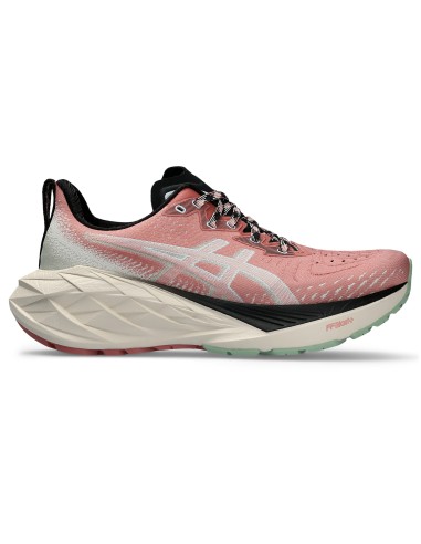ASICS Novablast 4 TR 1012B654250