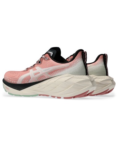 ASICS Novablast 4 TR 1012B654250