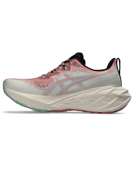 ASICS Novablast 4 TR 1012B654250