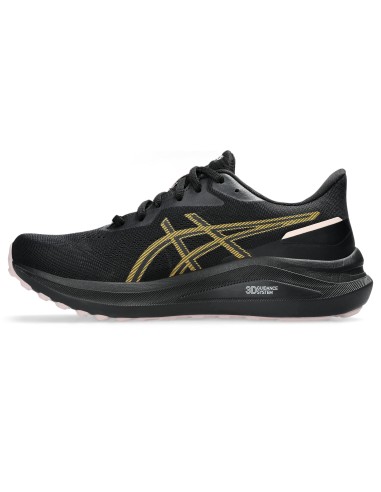 ASICS GT1000 13 GTX 1012B661001