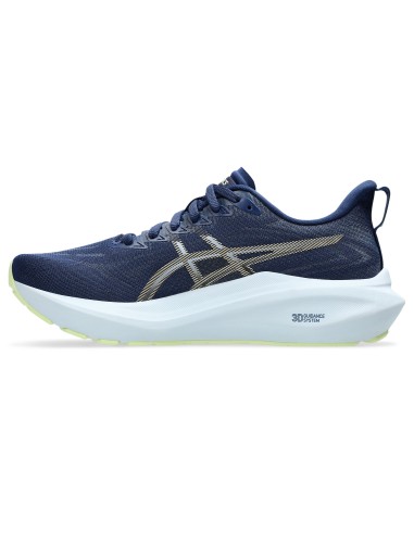 ASICS GT2000 13 1012B666400