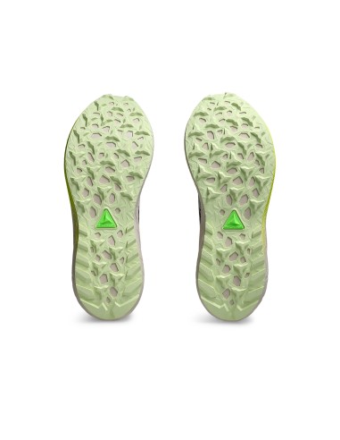 ASICS Fuji Lite 5 1012B690001