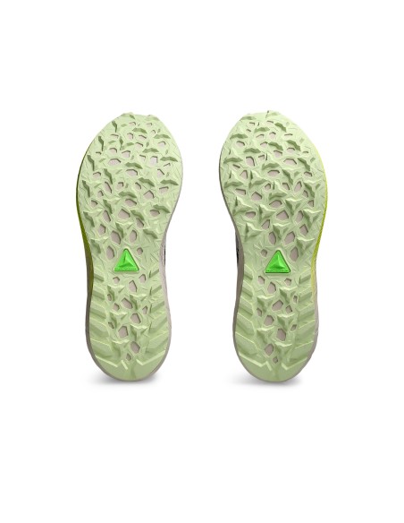 ASICS Fuji Lite 5 1012B690001