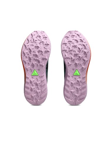 ASICS Fuji Lite 5 1012B690300