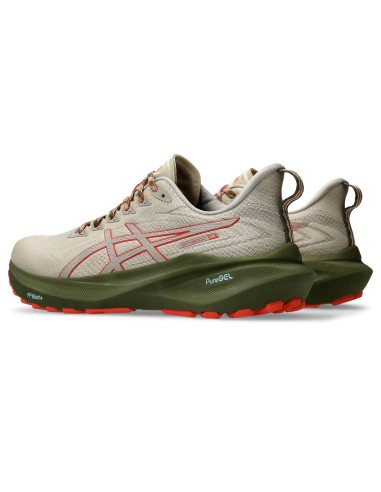 ASICS GT2000 13 TR 1011B954300