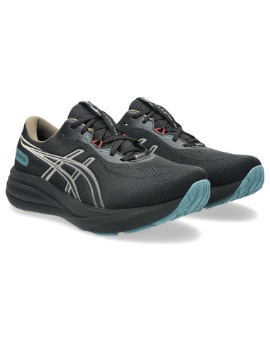 ASICS GelPulse 17 GTX 1011C154001