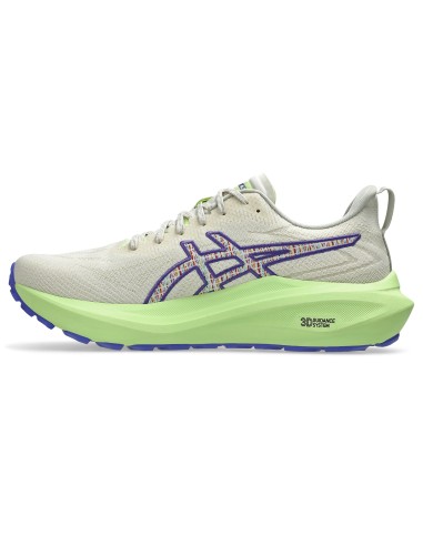 ASICS GT2000 13 TR 1011C042300