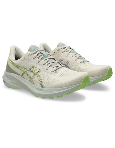 ASICS GT1000 13 TR 1011C043300