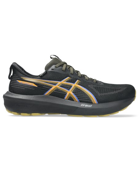 Asics GT1000 14 GTX shoes 1011C078 001