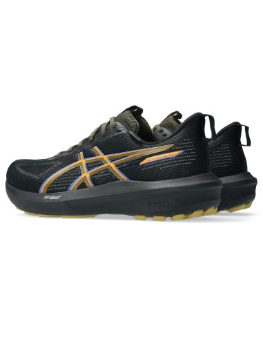 Asics GT1000 14 GTX shoes 1011C078 001