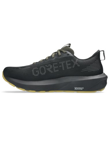 Asics GT1000 14 GTX shoes 1011C078 001