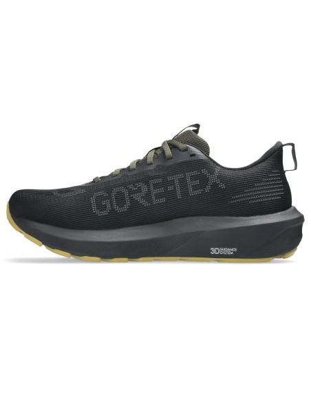 Asics GT1000 14 GTX shoes 1011C078 001