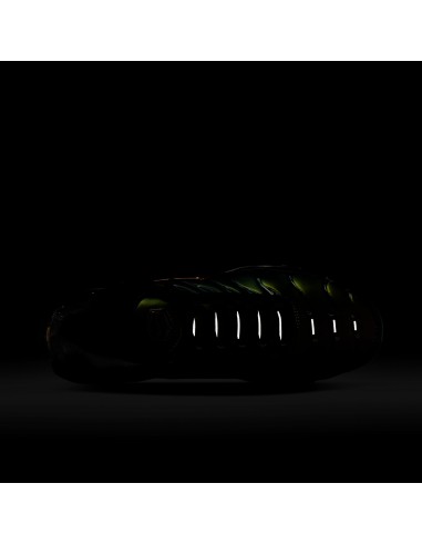 Nike Air Max Plus OG Scarab DH4778001 MBS