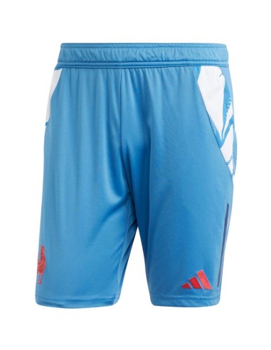 Adidas France Gym Men's Shorts Blue JC7182