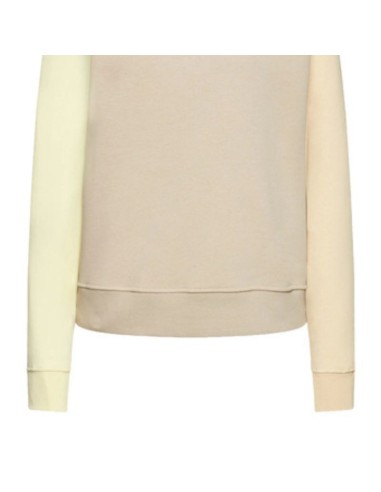 Women's Nike Swoosh Beige Sports Sweatshirt DJ4411210