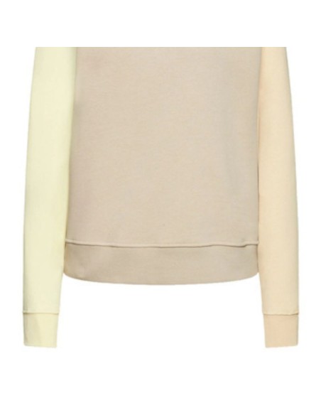Women's Nike Swoosh Beige Sports Sweatshirt DJ4411210