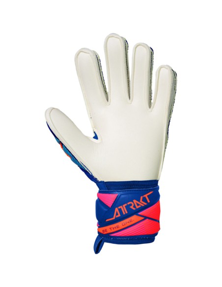 Reusch gloves gloves Reusch Attrakt Advance Junior