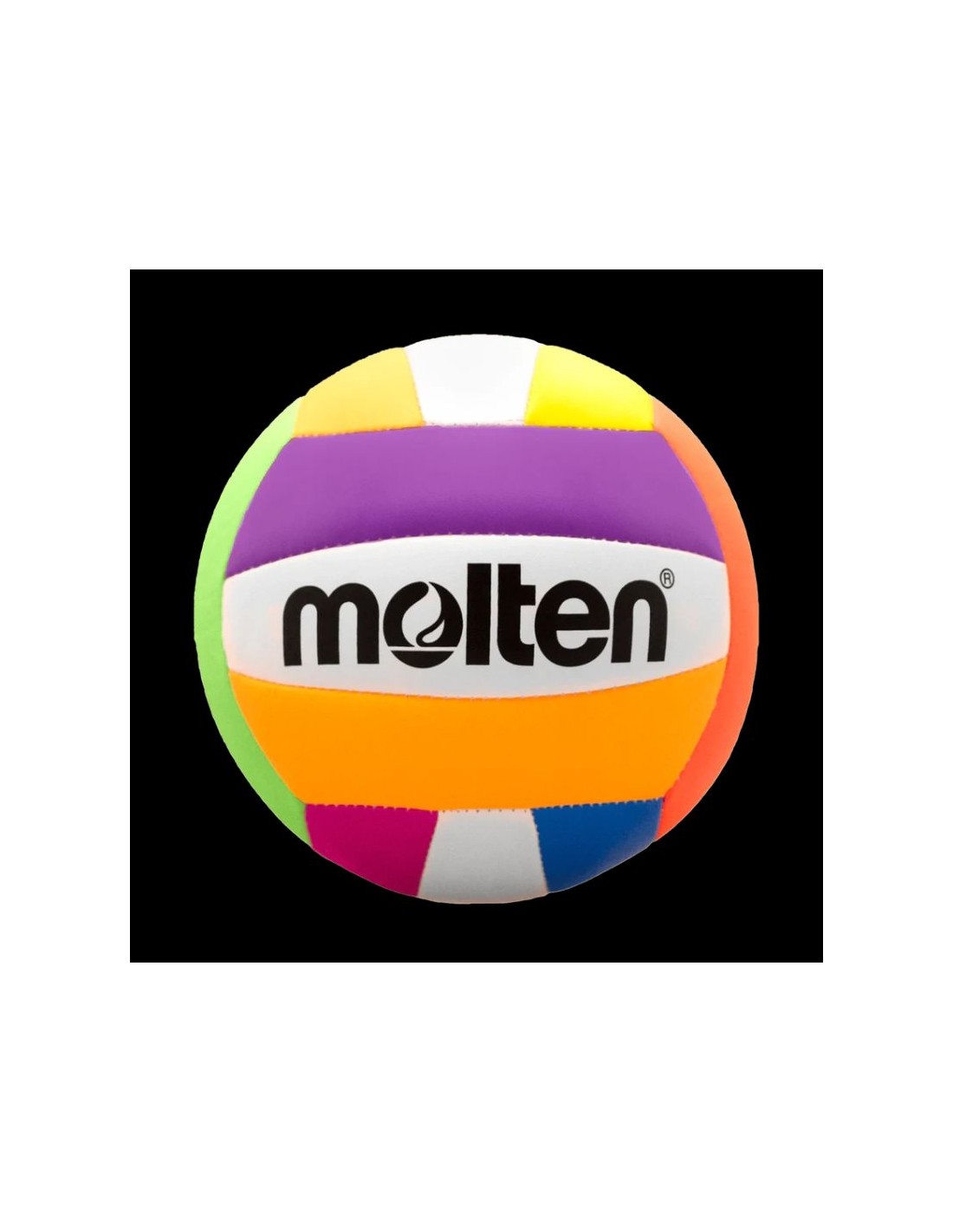Molten beach volleyball
