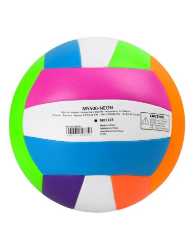 Molten beach volleyball