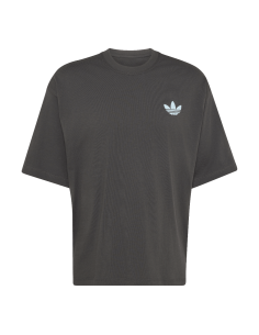 Adidas MOUNTAIN GFX Utility Black TShirt LE1889 MBS