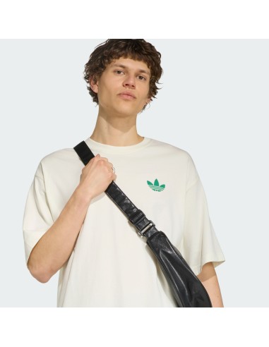 Adidas MOUNTAIN GFX Off White TShirt LE1888 MBS