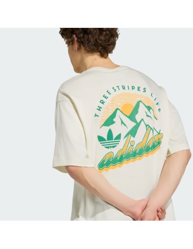 Adidas MOUNTAIN GFX Off White TShirt LE1888 MBS