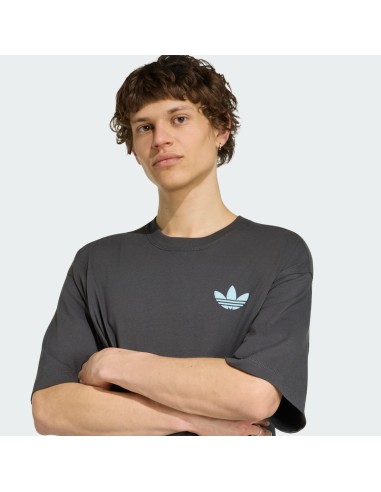 Adidas MOUNTAIN GFX Utility Black TShirt LE1889 MBS
