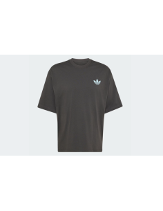 Adidas MOUNTAIN GFX Utility Black TShirt LE1889 MBS