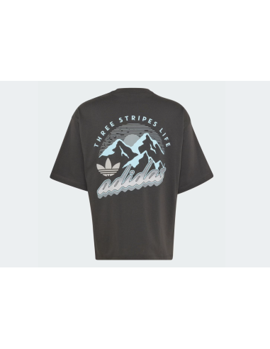 Adidas MOUNTAIN GFX Utility Black TShirt LE1889 MBS