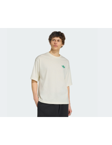 Adidas MOUNTAIN GFX Off White TShirt LE1888 MBS