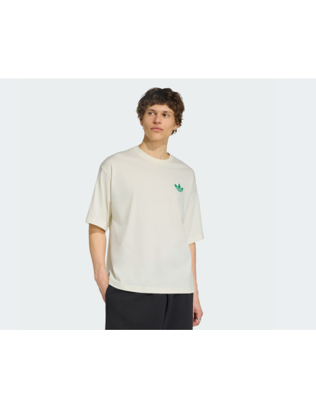 Adidas MOUNTAIN GFX Off White TShirt LE1888 MBS