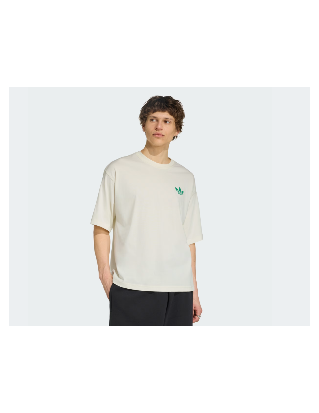 Adidas MOUNTAIN GFX Off White TShirt LE1888 MBS