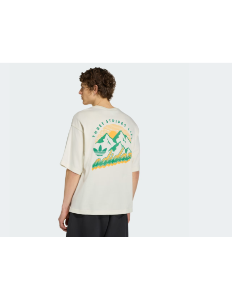 Adidas MOUNTAIN GFX Off White TShirt LE1888 MBS