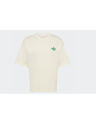 Adidas MOUNTAIN GFX Off White TShirt LE1888 MBS